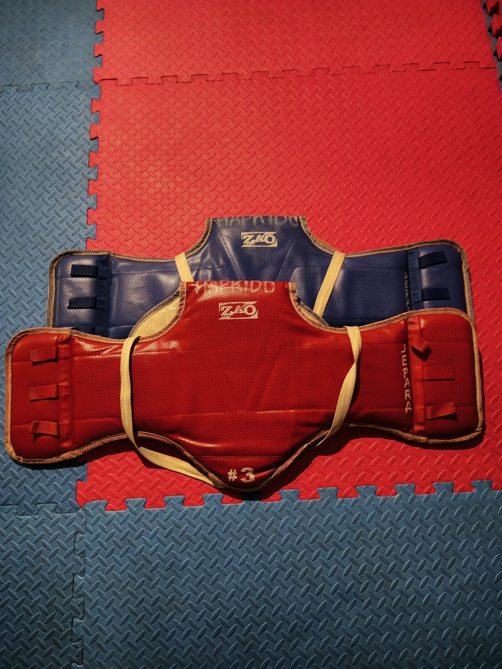 Body Protector