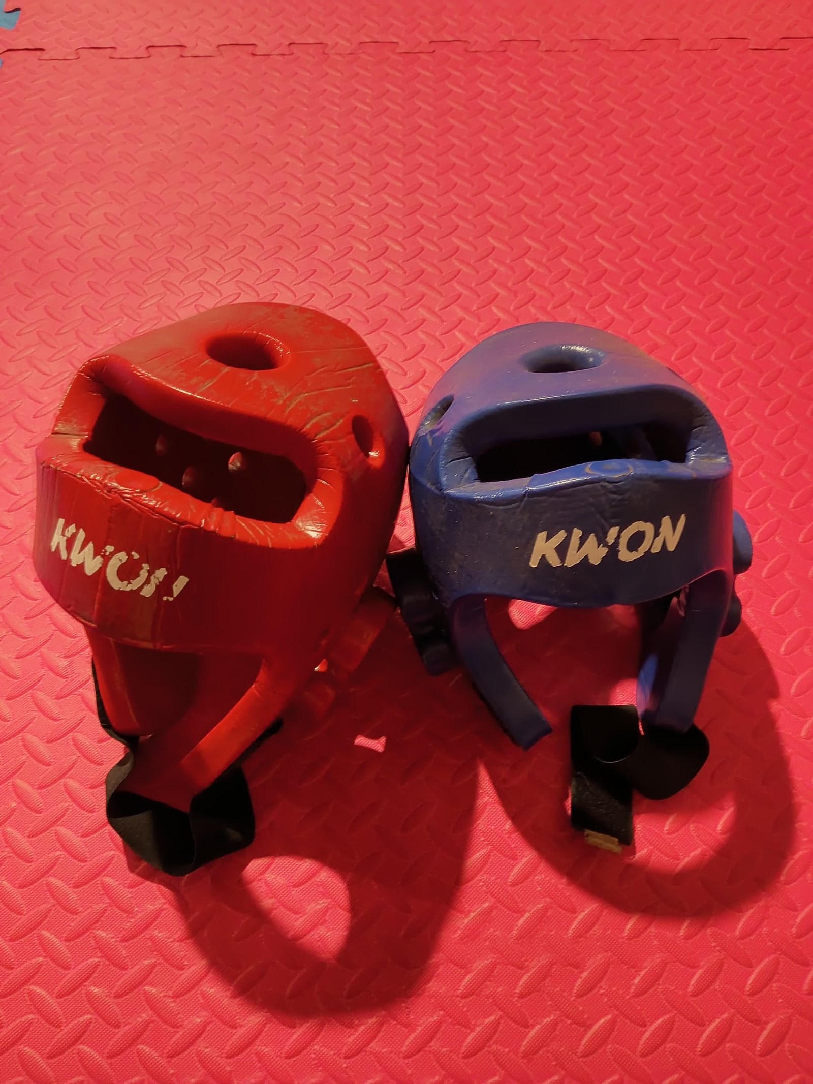 Head Guard